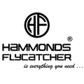 HAMMONDS FLYCATCHER